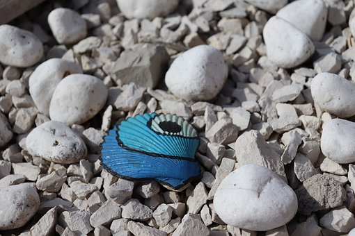 Mexican Beach Pebbles And Smooth River Rocks For Outdoor Use